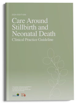 Care Around Stillbirth Neonatal Death Guideline 2024